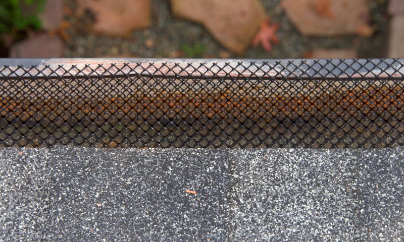 Gutter Guard Replacement in Longmont, CO