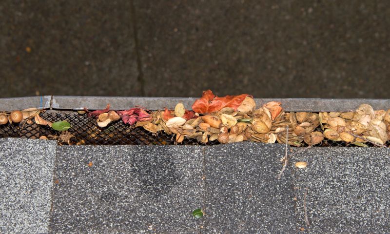 Blocks leaves and debris