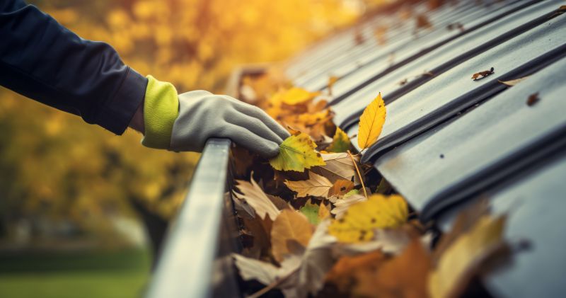 Fall Gutter Preparation